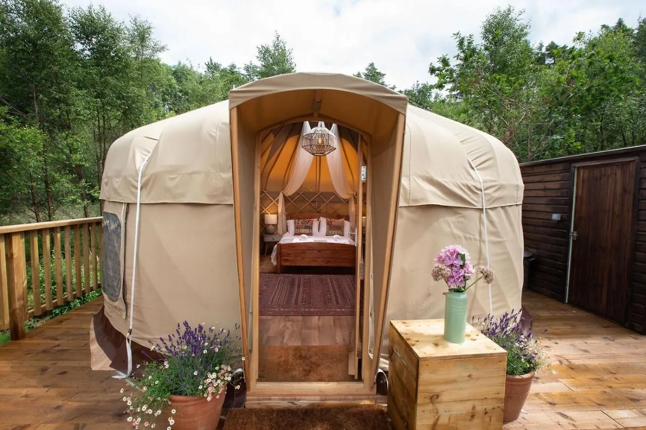 Yurtshire Eavestone Lake - Birch Yurt Ripon